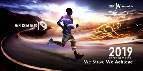 澳優(yōu)2019新年致辭：奮斗依舊，成就19  圖3