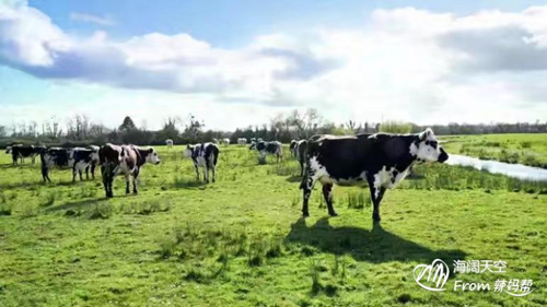 高培360（高培臻愛）奶粉免費(fèi)試用 毫不猶豫給寶寶選擇的口糧1.png