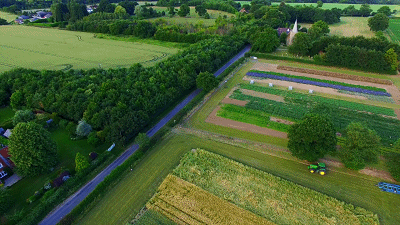 英國植物園_20181129121254