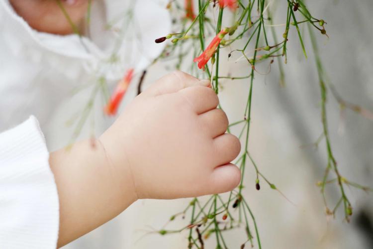 中國五分之一兒童體重超標 美媒：垃圾食品吃多了