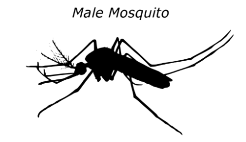 驅(qū)蚊產(chǎn)品也拼顏值？金鳥驅(qū)蚊手環(huán)系列讓你成為最靚的仔！