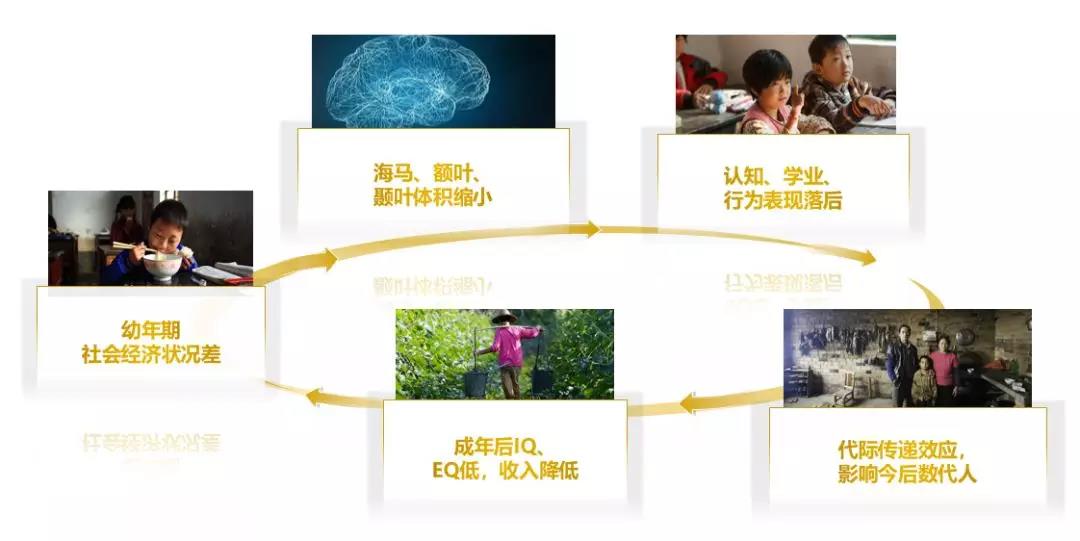 惠氏攜手中國紅十字基金會聯(lián)合發(fā)起螢之光計劃 關注留守寶寶早期發(fā)展
