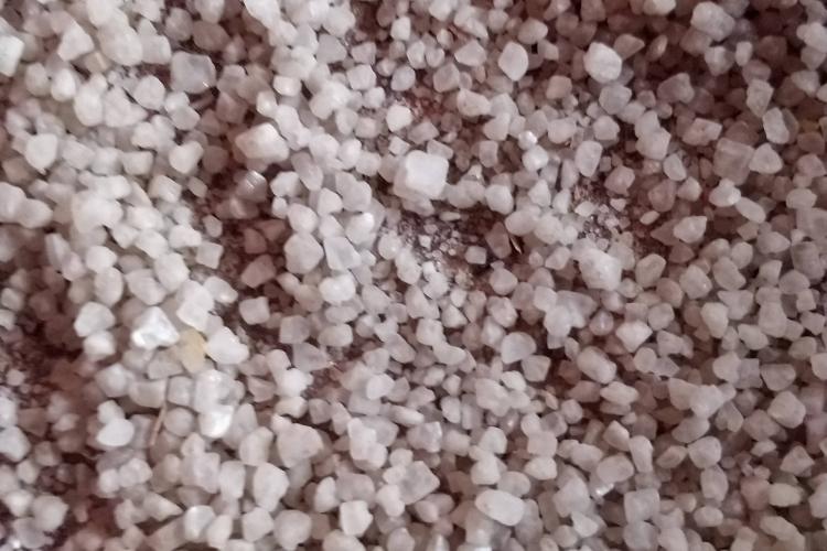 有甲狀腺疾病的孕媽媽該如何補碘？