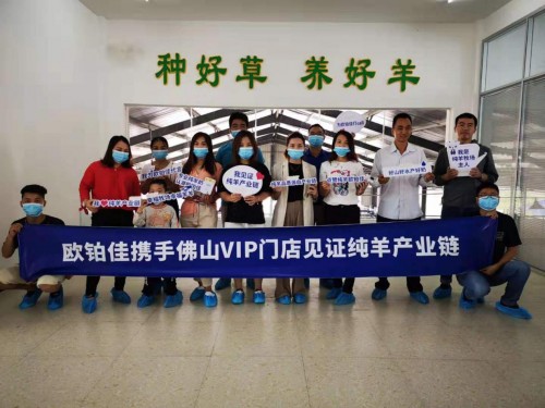 7月歐鉑佳開啟產(chǎn)業(yè)鏈見證之旅，體驗式營銷引領(lǐng)純羊市場