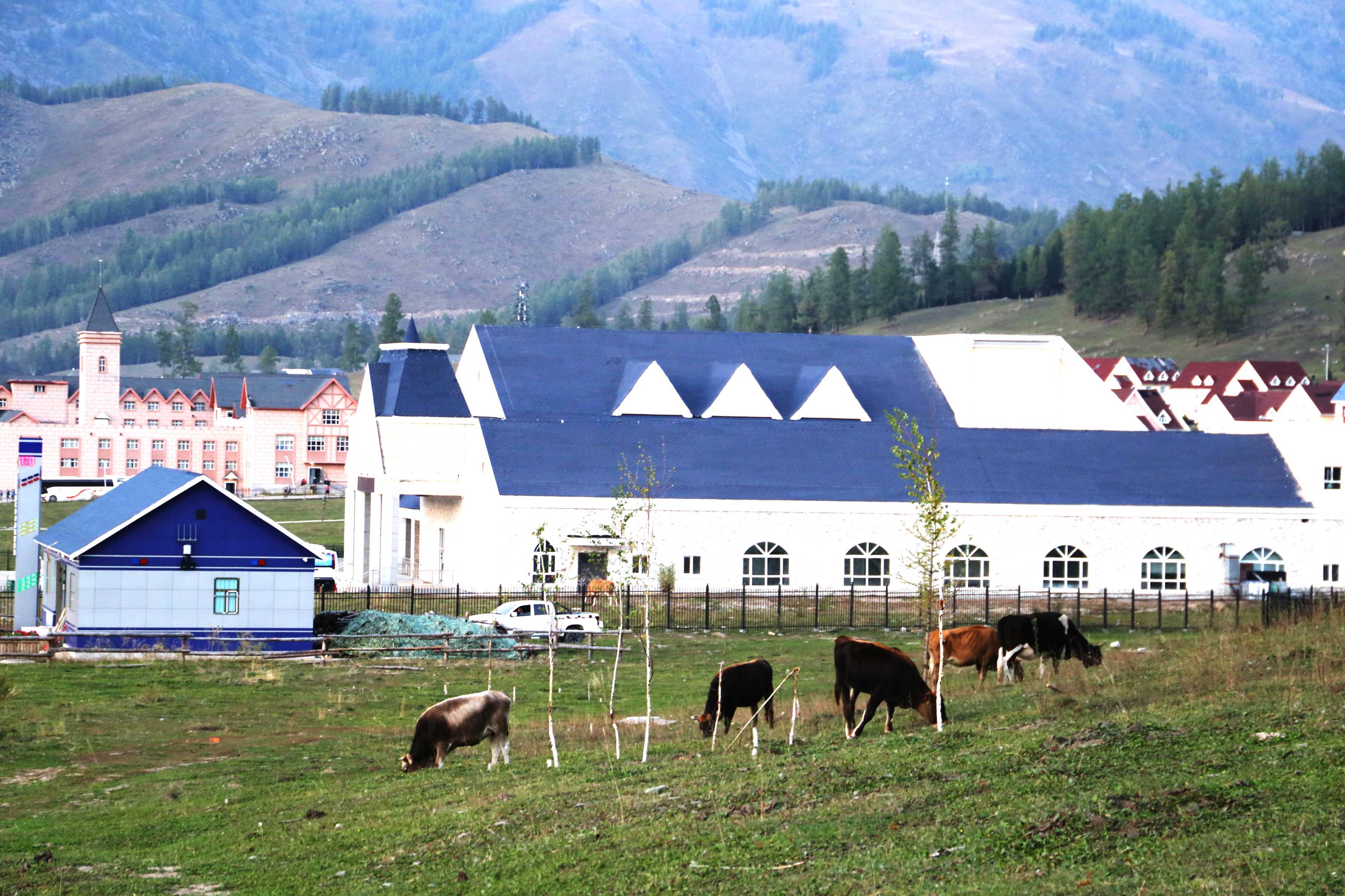 最新！上市奶粉企業(yè)市值排行榜