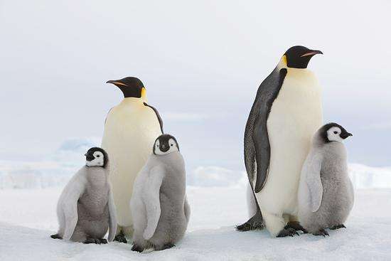 警惕！研究稱全球變暖將嚴(yán)重影響兒童健康