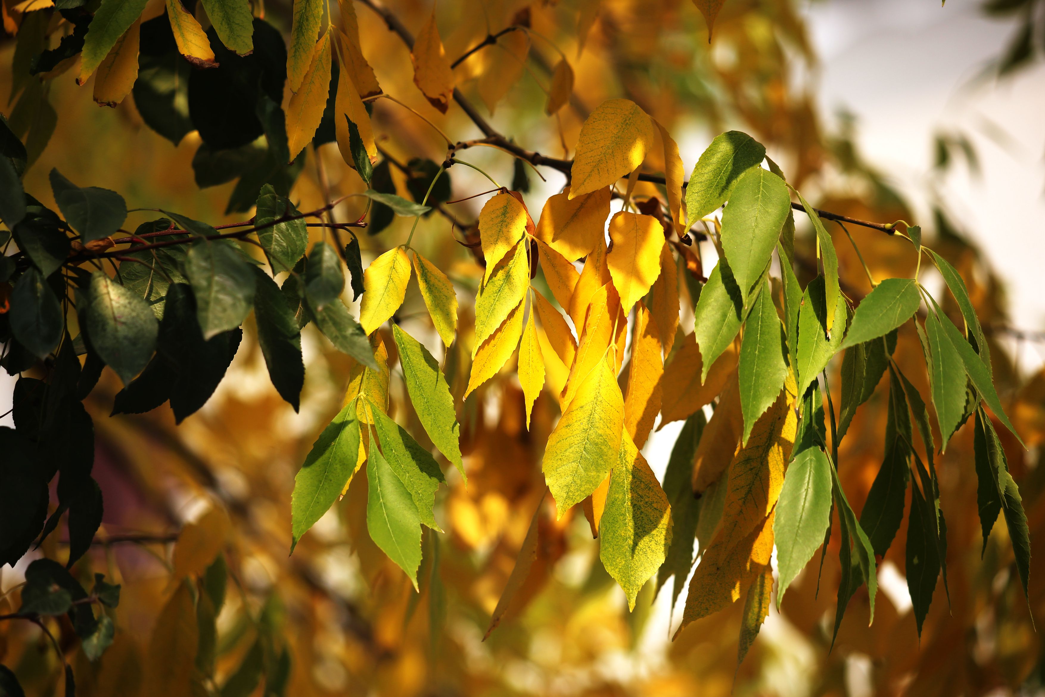 為什么家長發(fā)現(xiàn)不了安全隱患？多站在兒童的高度和角度來想