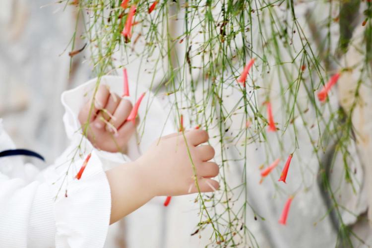 小胖墩頻現(xiàn) 中國(guó)式喂養(yǎng)到底哪兒錯(cuò)了？