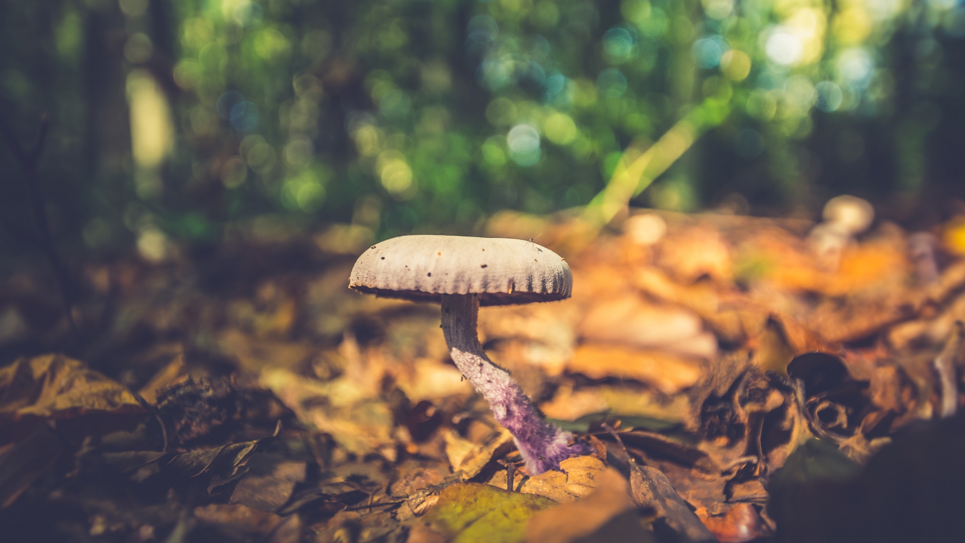 想知道孩子的身高潛力？這里有“遺傳計算法”