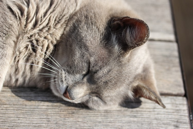 學(xué)生睡眠不足問題依然普遍存在