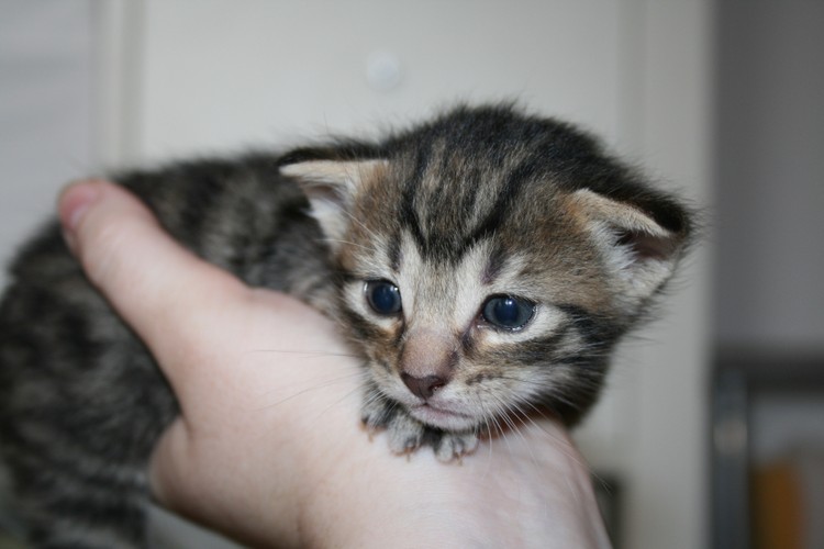 六招趕走小兒鼻塞