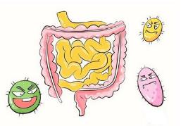孩子一受涼就拉肚子到底是怎么回事？
