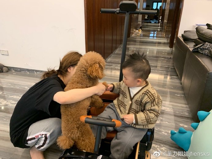 萌萌噠！＂網(wǎng)紅＂雪梨兒子開玩具車，和狗狗握手手