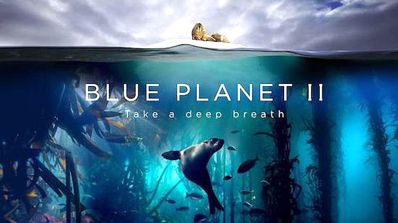 別看動(dòng)畫(huà)片了 這幾部紀(jì)錄片一定要陪孩子看