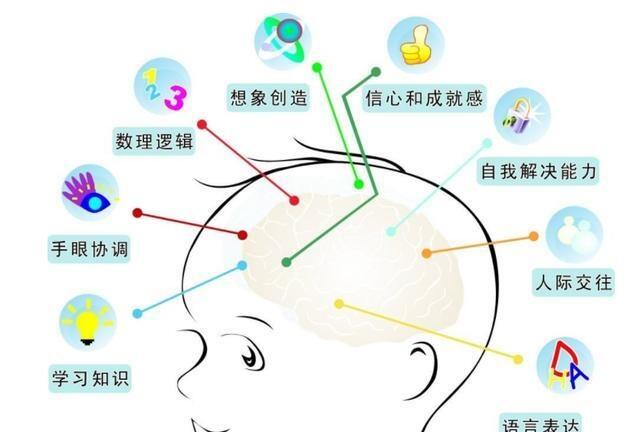 哈佛大學(xué):兒童大腦發(fā)育的高峰期只有三次，家長抓對一次就夠了