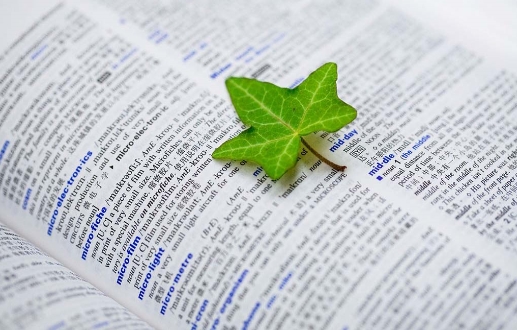 雙語教育的優(yōu)勢在家庭