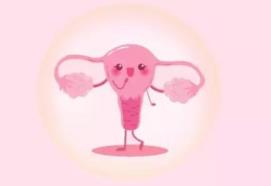 保護(hù)卵巢請做到這四件事 “拯救”卵巢刻不容緩