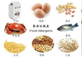 食物過敏后果很嚴(yán)重 聽專家教寶爸寶媽如何應(yīng)對(duì)？