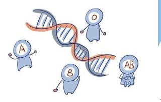 不同血型的寶寶 父母應(yīng)該有不同的對(duì)待方式
