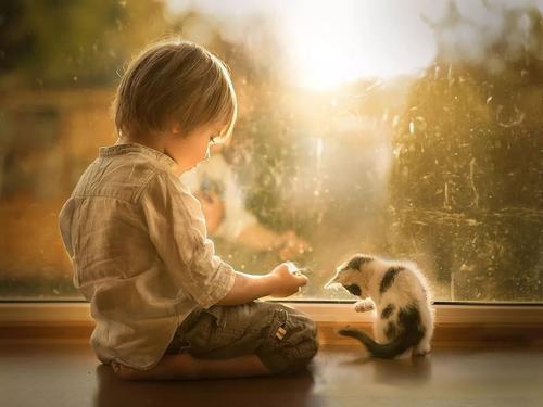 寶寶的魔法世界 讓父母更了解0—6歲寶寶