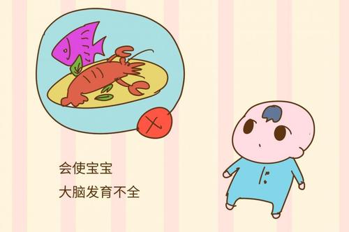 大腦發(fā)育的三個階段 如何補(bǔ)充營養(yǎng)更聰明