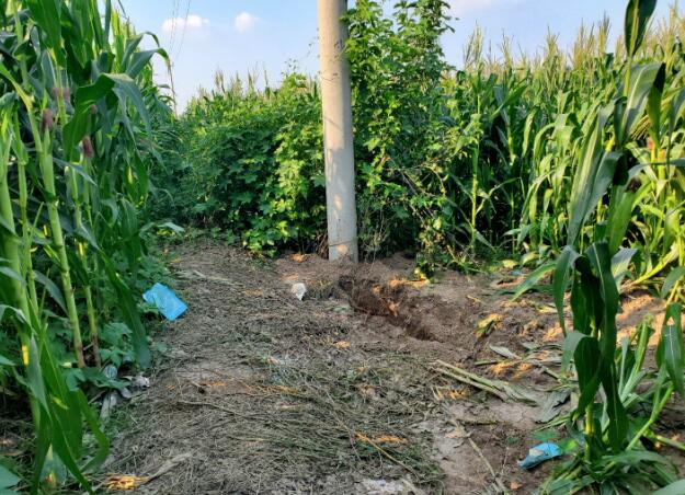 警方通報(bào)河北12歲女孩遭綁架殺害細(xì)節(jié) 繳獲涉案贓款100萬(wàn)元