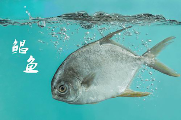 給孩子吃魚(yú)有講究，這幾種魚(yú)要遠(yuǎn)離