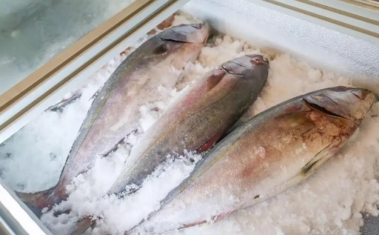 魚肉雖有營養(yǎng)，但家長千萬不要給孩子吃這幾類魚