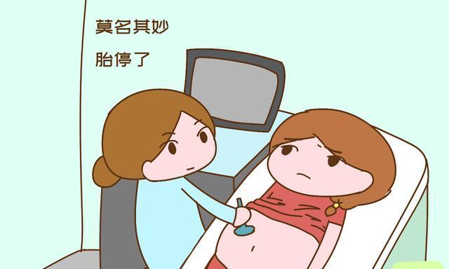 孕早期胎停育不是沒有任何征兆，提前發(fā)現(xiàn)，才能早應(yīng)對