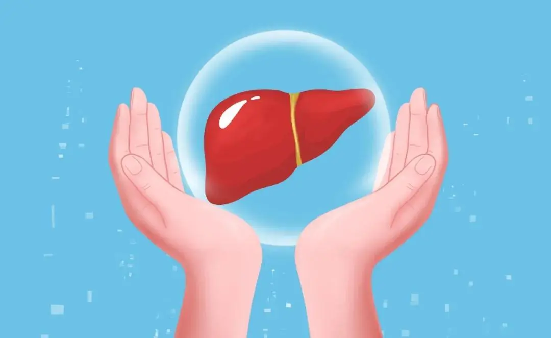 日常生活中該如何養(yǎng)肝？