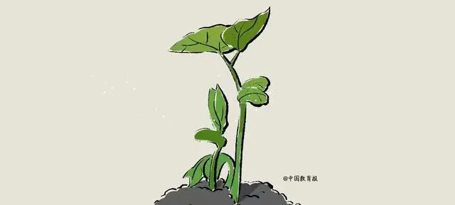 抓住關(guān)鍵期，做好高校畢業(yè)生就業(yè)工作