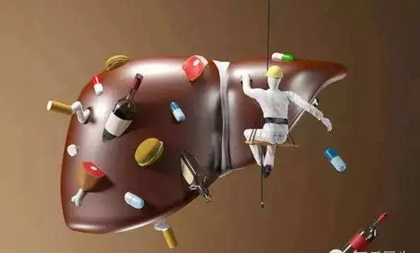 如何保護(hù)我們的“人體化工廠”——肝臟，解放軍總醫(yī)院肝病專家來支招