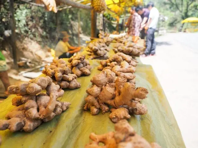 夏季吃姜好時(shí)機(jī)，關(guān)鍵要這么吃！