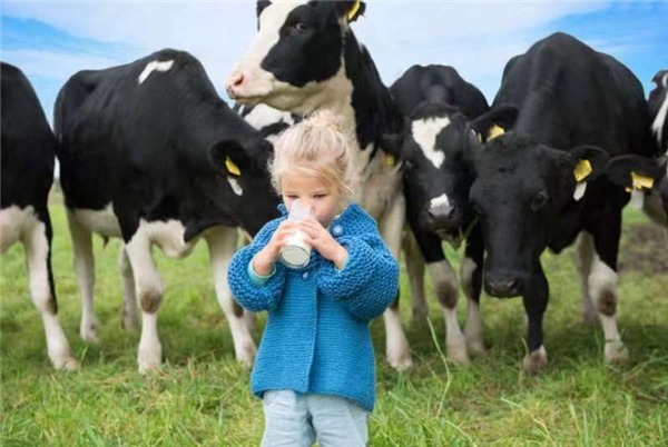 進(jìn)口奶粉哪個(gè)比較好？能立多重磅上新  助力寶寶更好消化吸收