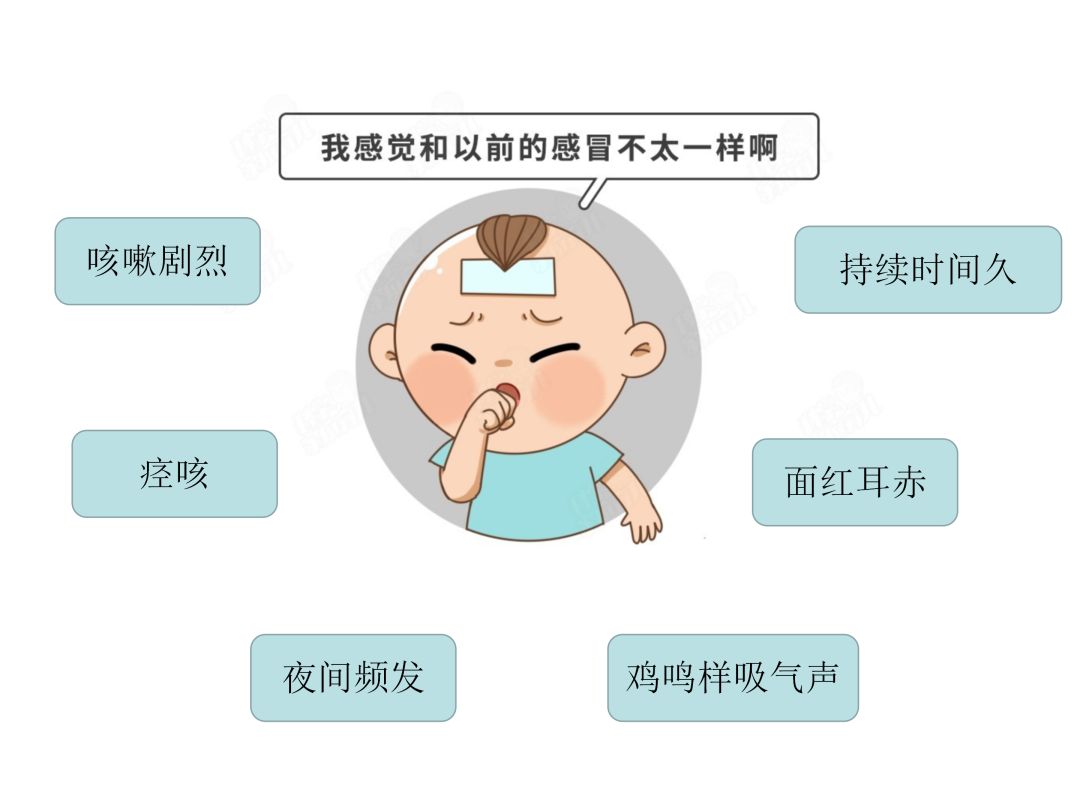 【微科普】“肺”常時期，“咳”不容緩