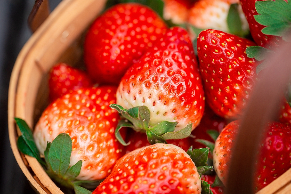 百果園攜手美好生活大使楊冪，關(guān)愛中國兒童少年基金會困境兒童