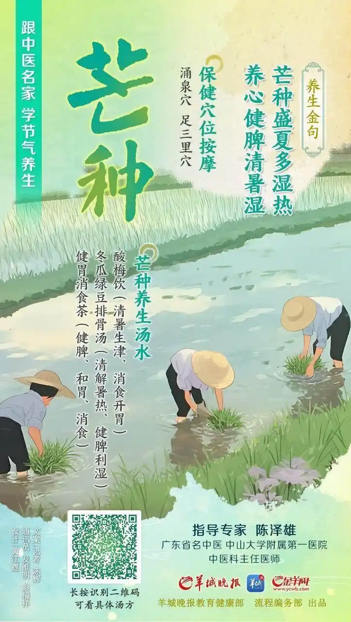 節(jié)氣養(yǎng)生｜芒種盛夏多濕熱，養(yǎng)心健脾清暑濕